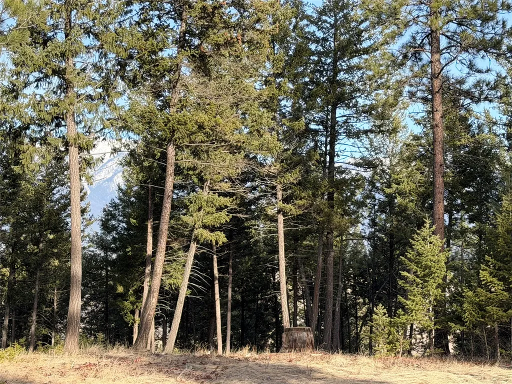 Nhn Hillandale Trail Eureka MT 59917