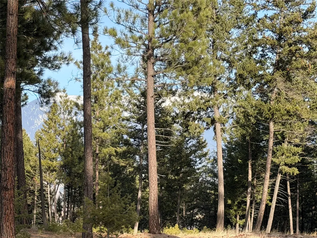 Nhn Hillandale Trail Eureka MT 59917