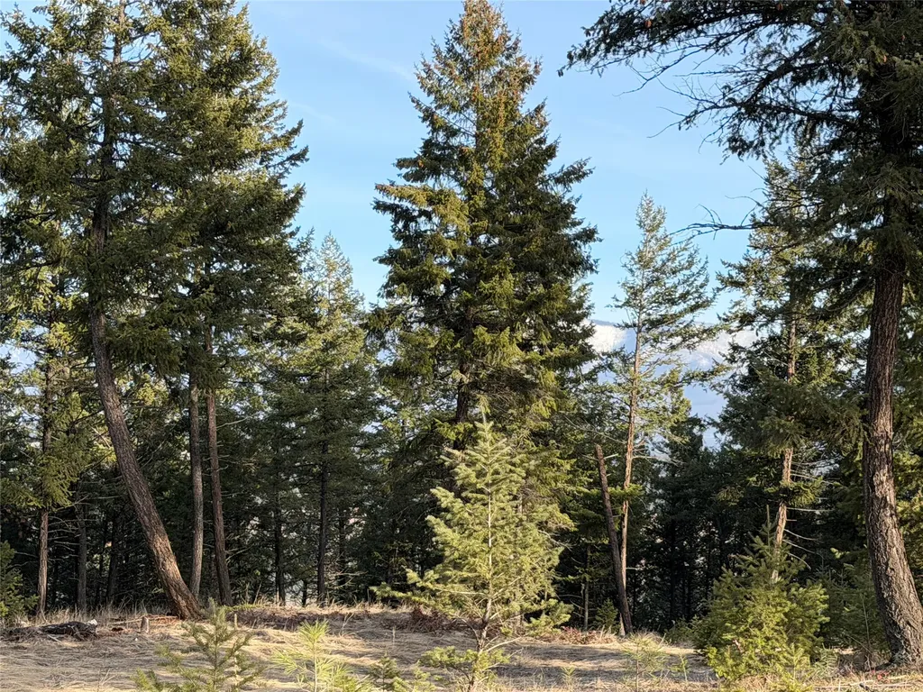 Nhn Hillandale Trail Eureka MT 59917