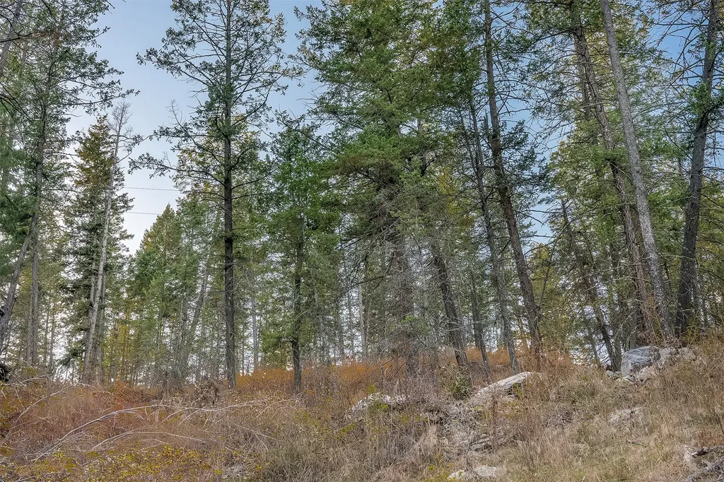 Nhn (Lot 5) Burnt Tree Lane Polson MT 59860