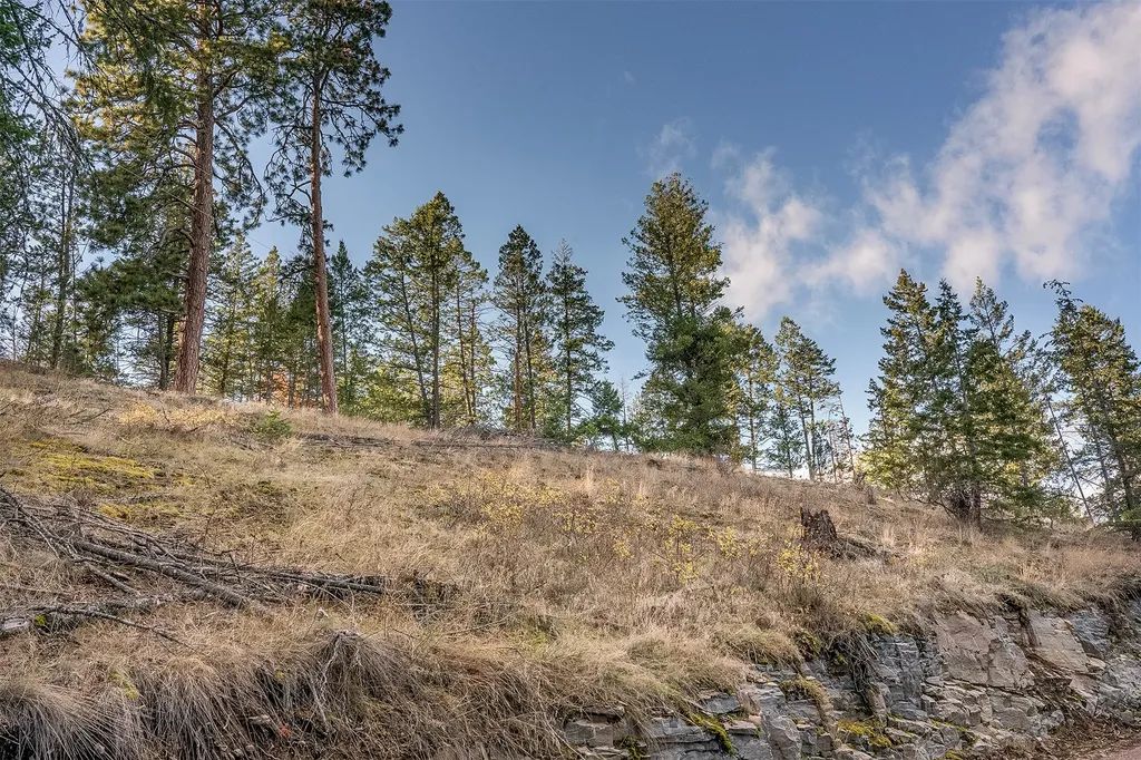 Nhn (Lot 5) Burnt Tree Lane Polson MT 59860