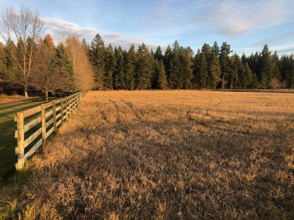 Nhn Conagher Lane Columbia Falls MT 59912
