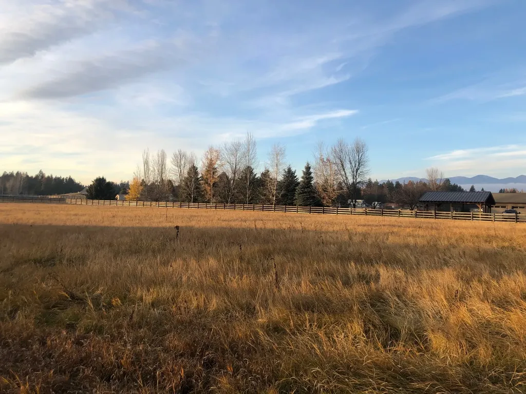 Nhn Conagher Lane Columbia Falls MT 59912