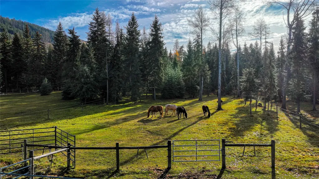 2503 Wild Bill Road Kila MT 59920