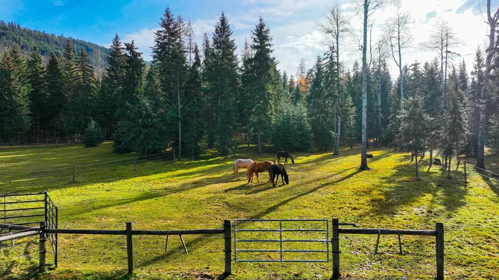 2503 Wild Bill Road Kila MT 59920