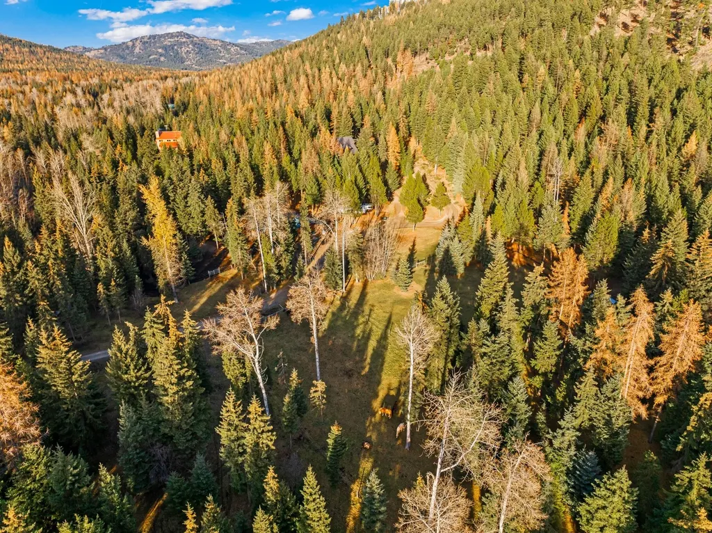 2503 Wild Bill Road Kila MT 59920