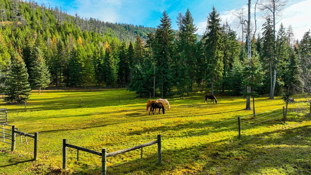 2503 Wild Bill Road Kila MT 59920