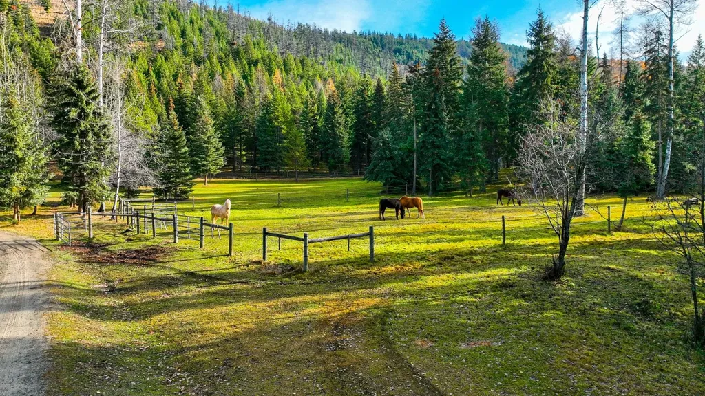 2503 Wild Bill Road Kila MT 59920