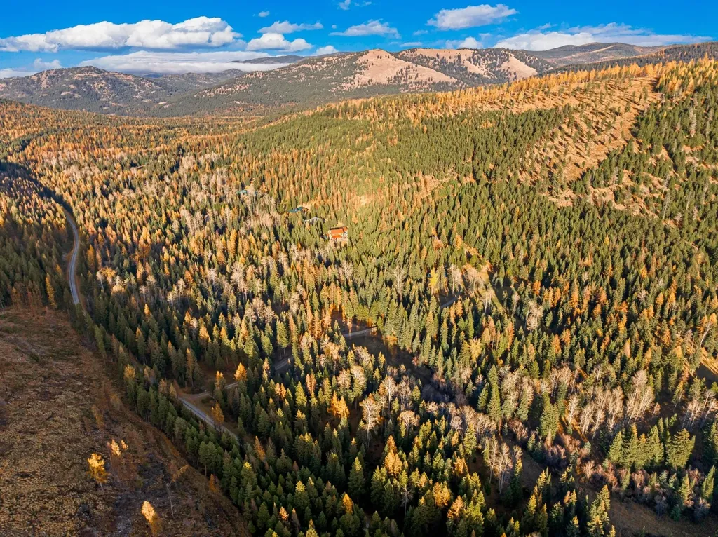 2503 Wild Bill Road Kila MT 59920