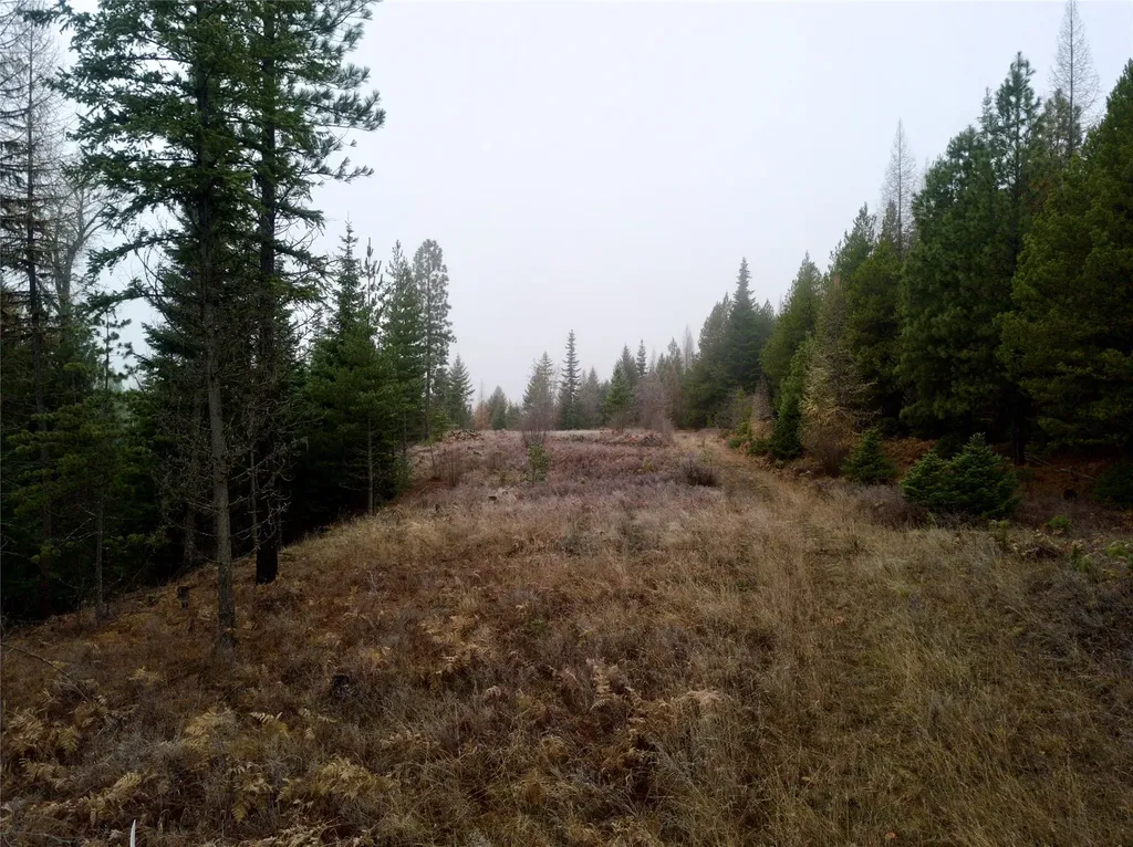 15A Shoshone Trail Troy MT 59935