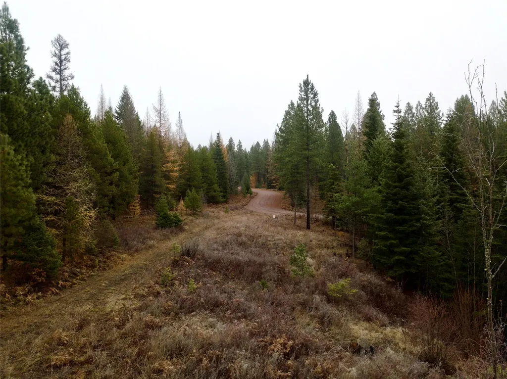 15A Shoshone Trail Troy MT 59935