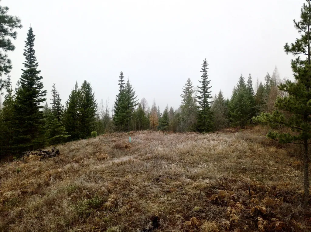 15A Shoshone Trail Troy MT 59935