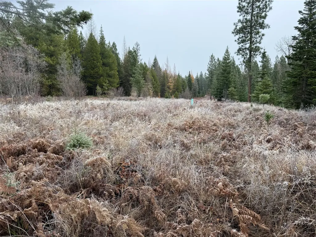 15A Shoshone Trail Troy MT 59935