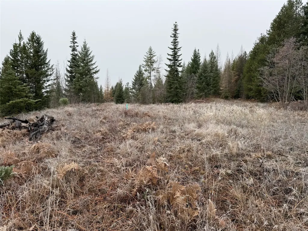 15A Shoshone Trail Troy MT 59935