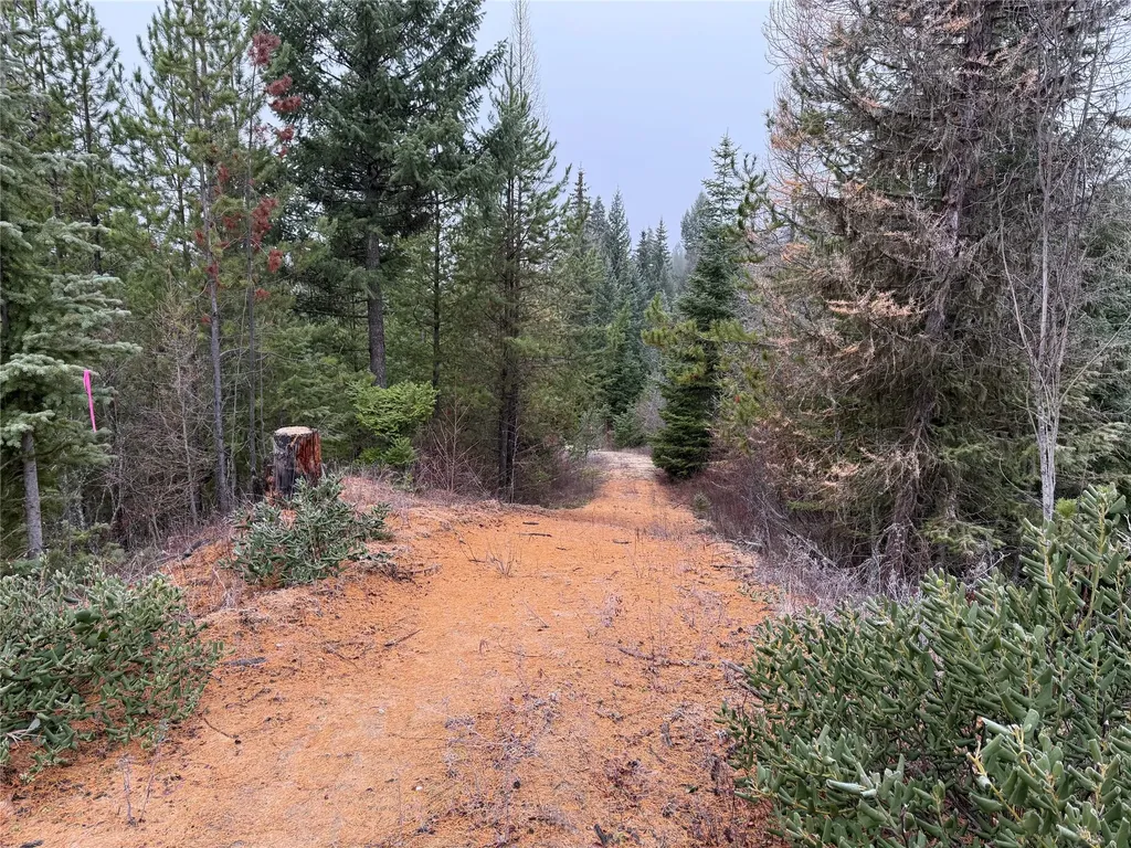 15A Shoshone Trail Troy MT 59935