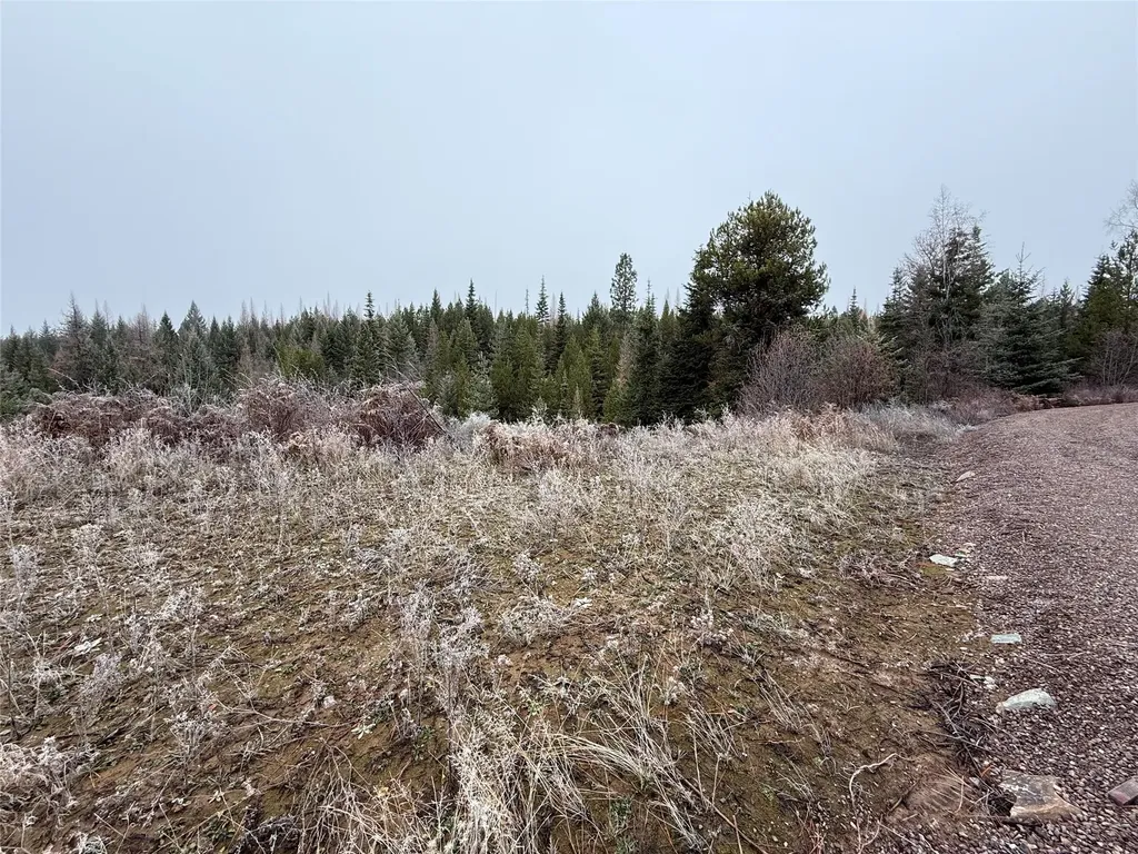 15A Shoshone Trail Troy MT 59935