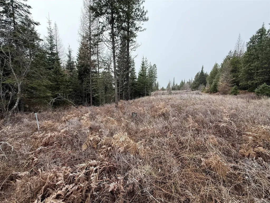 15A Shoshone Trail Troy MT 59935