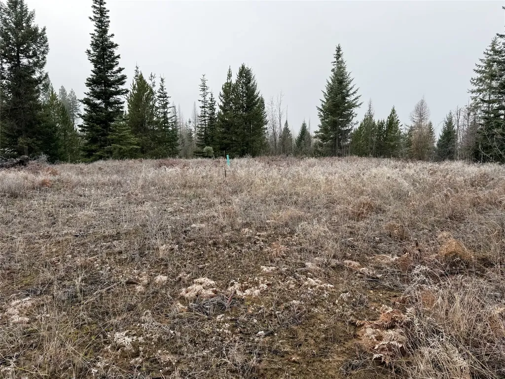 15A Shoshone Trail Troy MT 59935