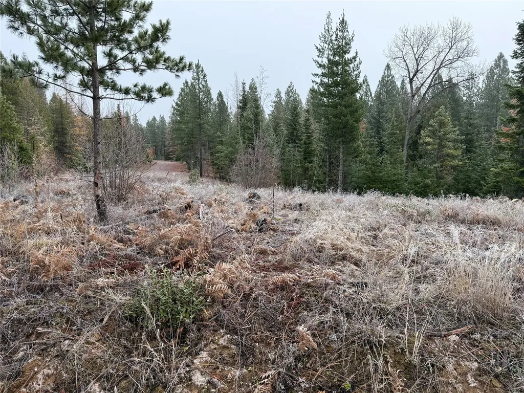 15A Shoshone Trail Troy MT 59935