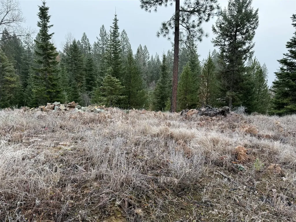 15A Shoshone Trail Troy MT 59935