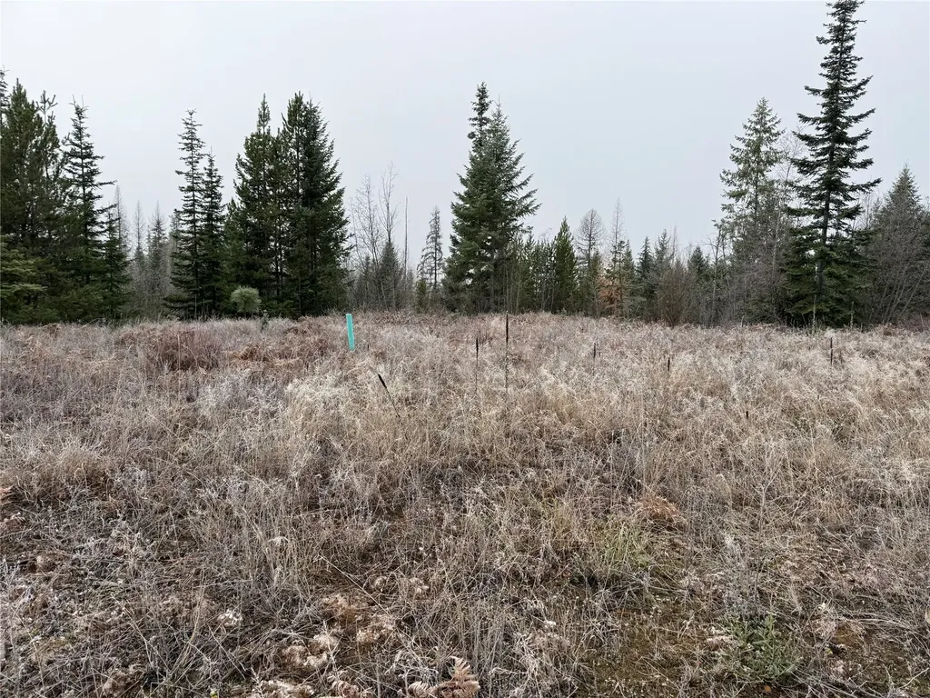 15A Shoshone Trail Troy MT 59935