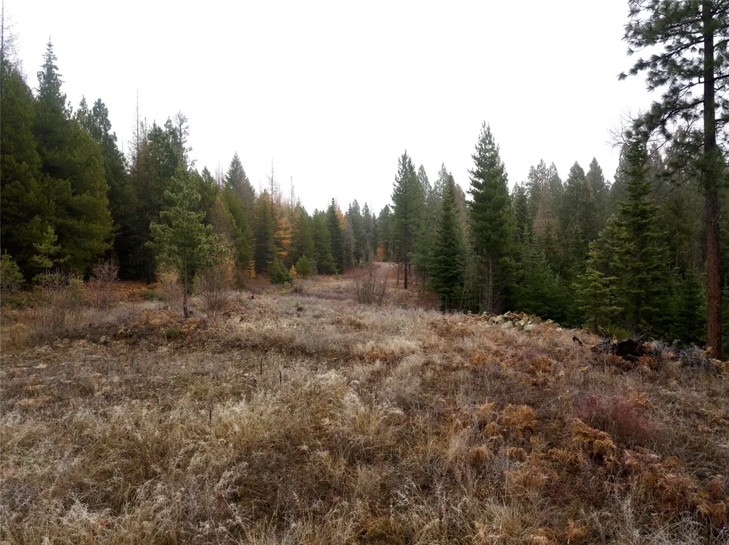 15A Shoshone Trail Troy MT 59935