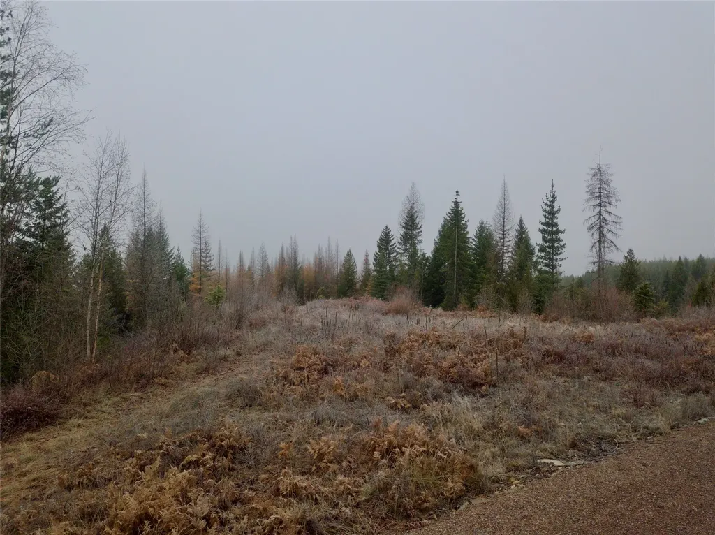 15B Lakota Loop Troy MT 59935