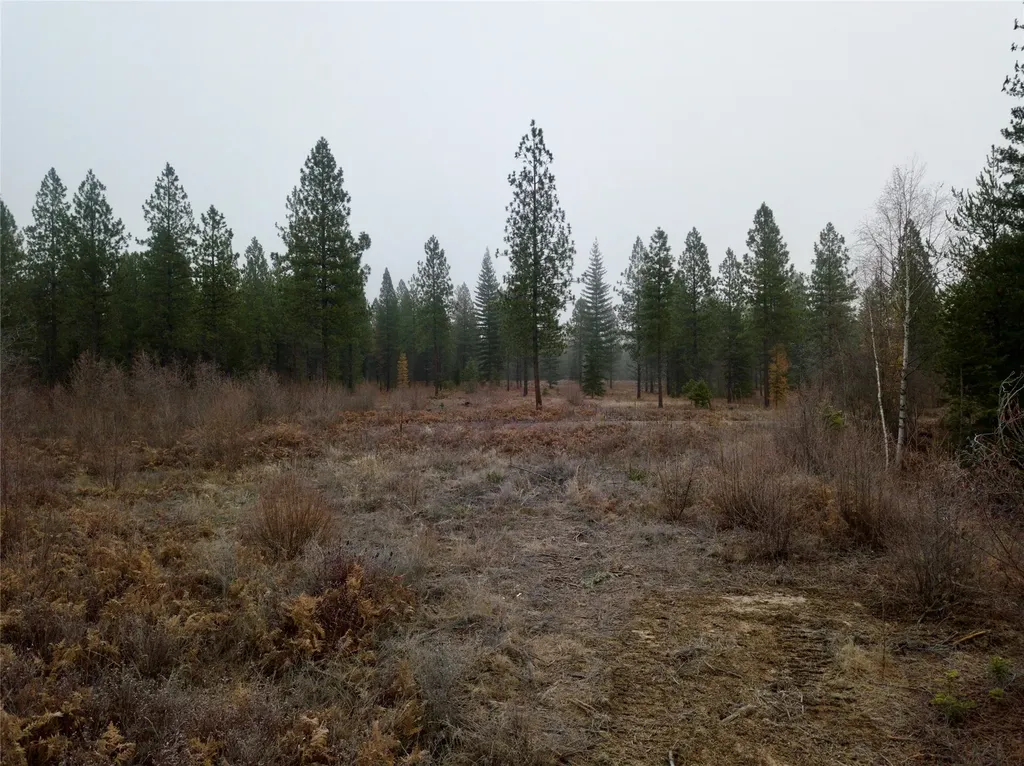15B Lakota Loop Troy MT 59935