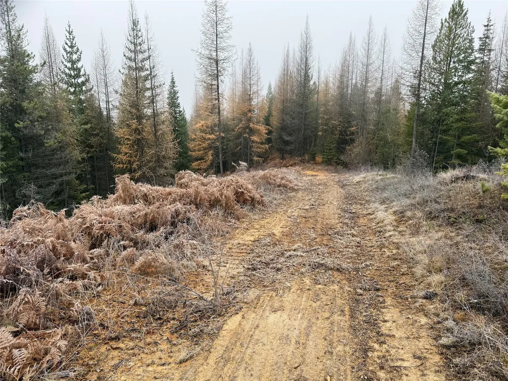 15B Lakota Loop Troy MT 59935