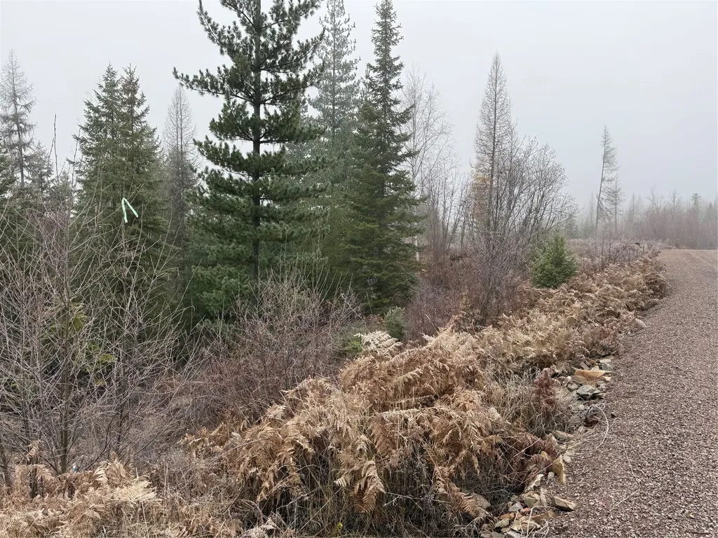 15B Lakota Loop Troy MT 59935