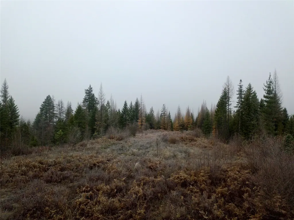 15B Lakota Loop Troy MT 59935