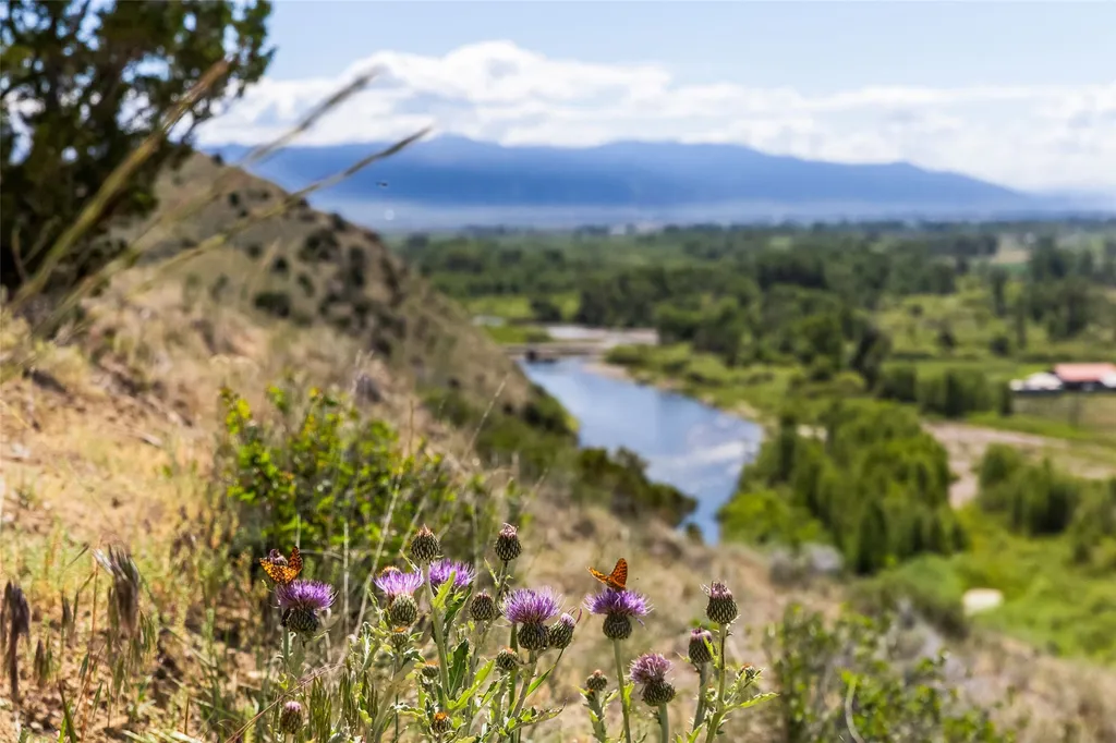 499 Saddle Ridge Road Manhattan MT 59741