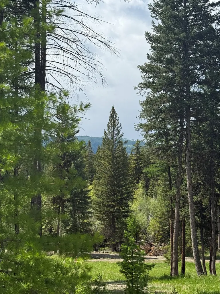 465 & Nhn W Dodge Creek Road Rexford MT 59930
