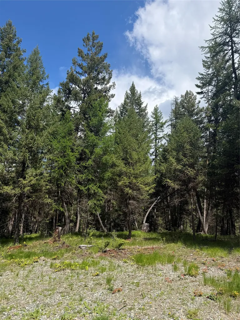 465 & Nhn W Dodge Creek Road Rexford MT 59930
