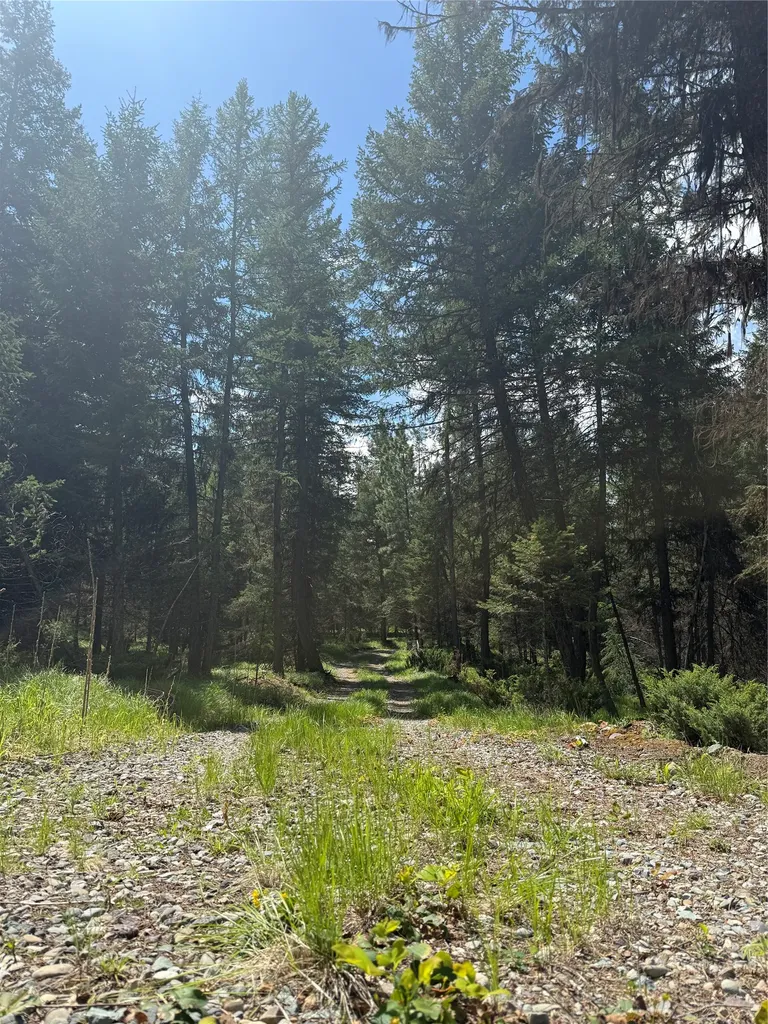 465 & Nhn W Dodge Creek Road Rexford MT 59930