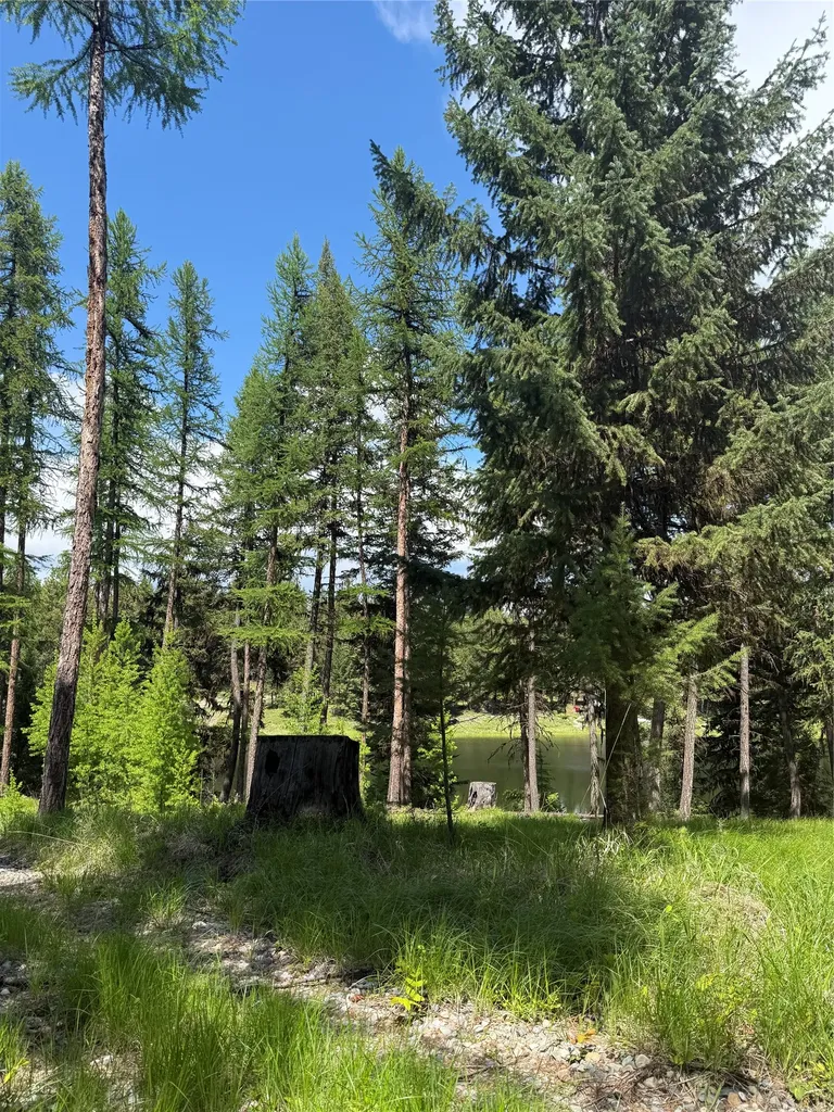 465 & Nhn W Dodge Creek Road Rexford MT 59930