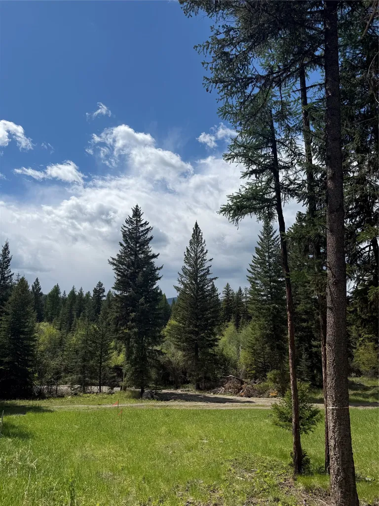 465 & Nhn W Dodge Creek Road Rexford MT 59930