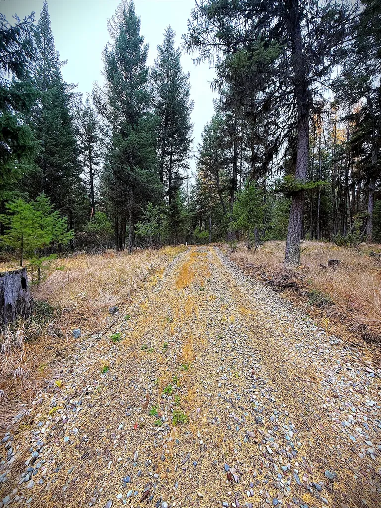465 & Nhn W Dodge Creek Road Rexford MT 59930