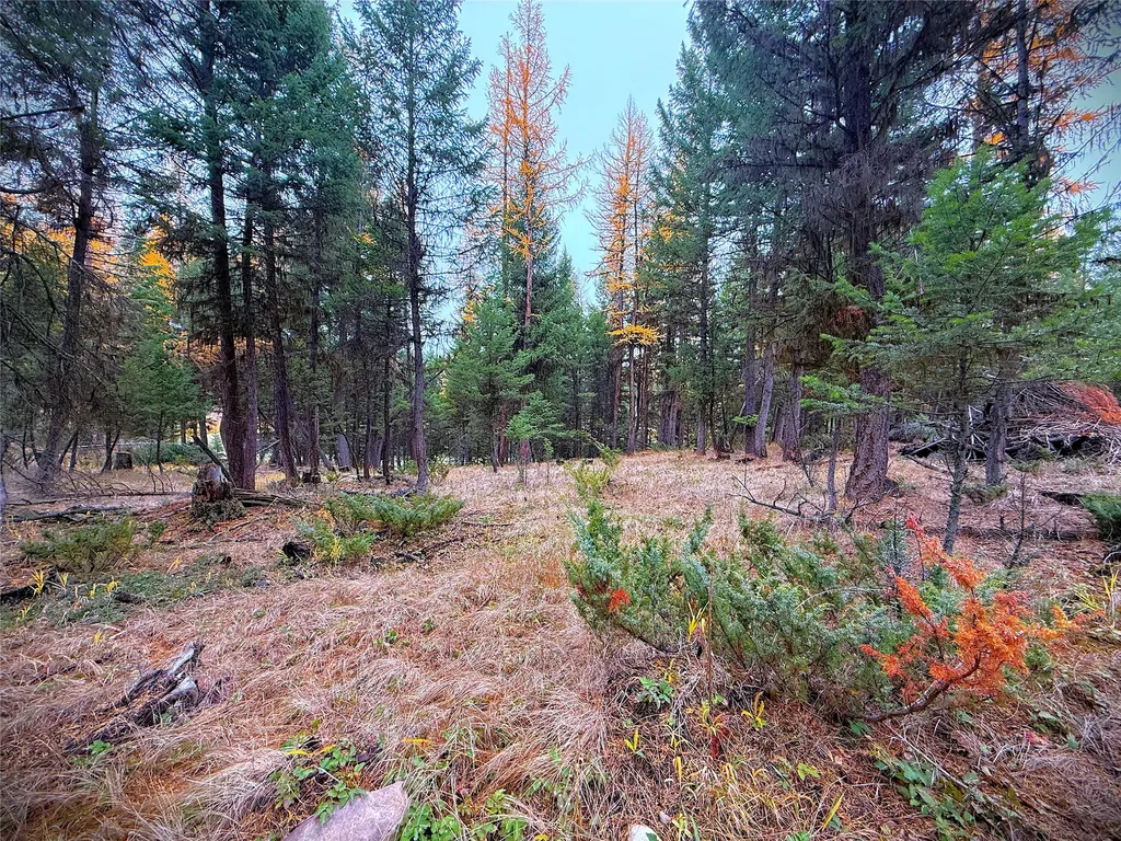 465 & Nhn W Dodge Creek Road Rexford MT 59930