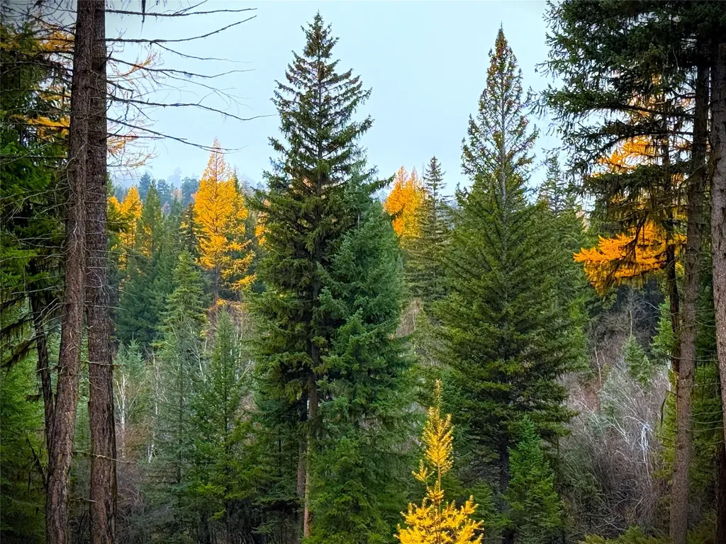 465 & Nhn W Dodge Creek Road Rexford MT 59930