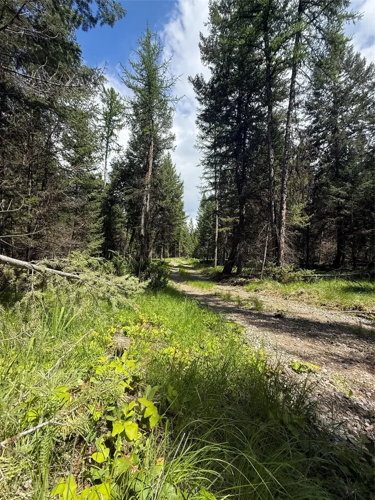 465 & Nhn W Dodge Creek Road Rexford MT 59930