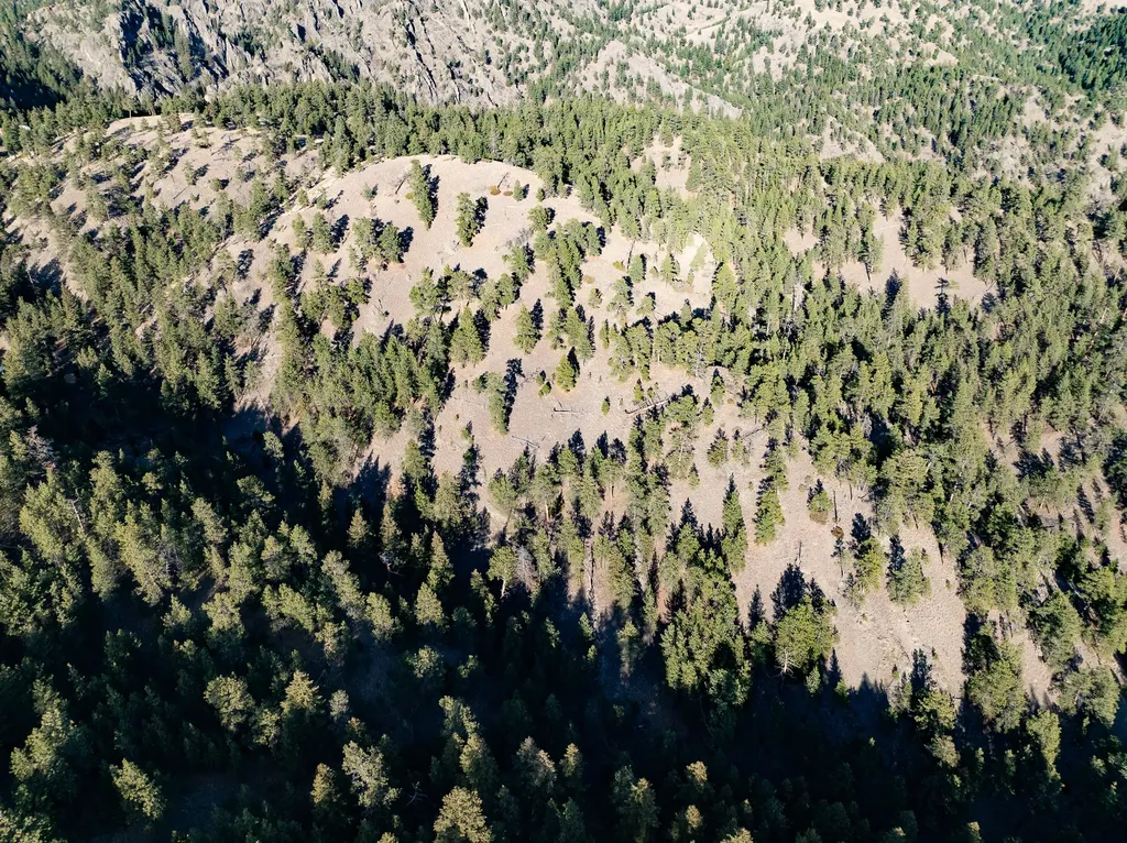 Tbd Big Pine Lane Cascade MT 59421