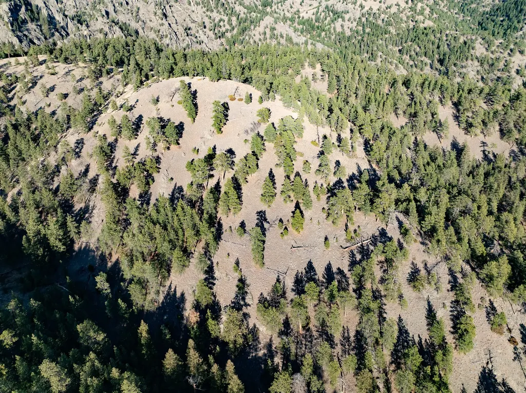 Tbd Big Pine Lane Cascade MT 59421
