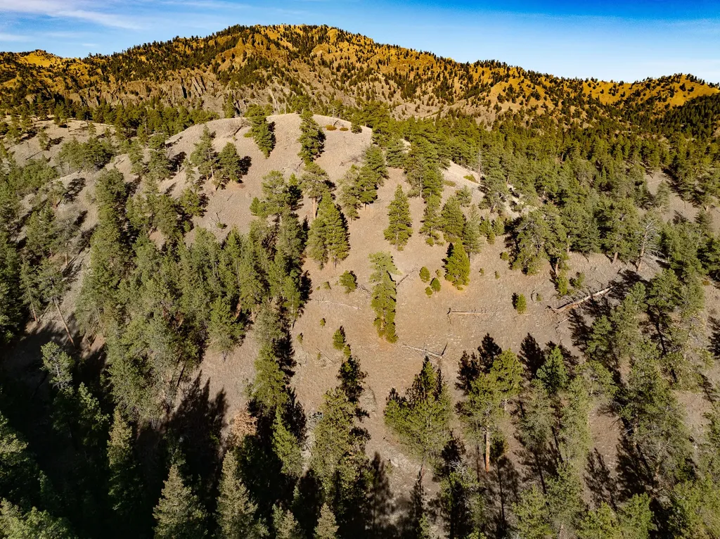 Tbd Big Pine Lane Cascade MT 59421