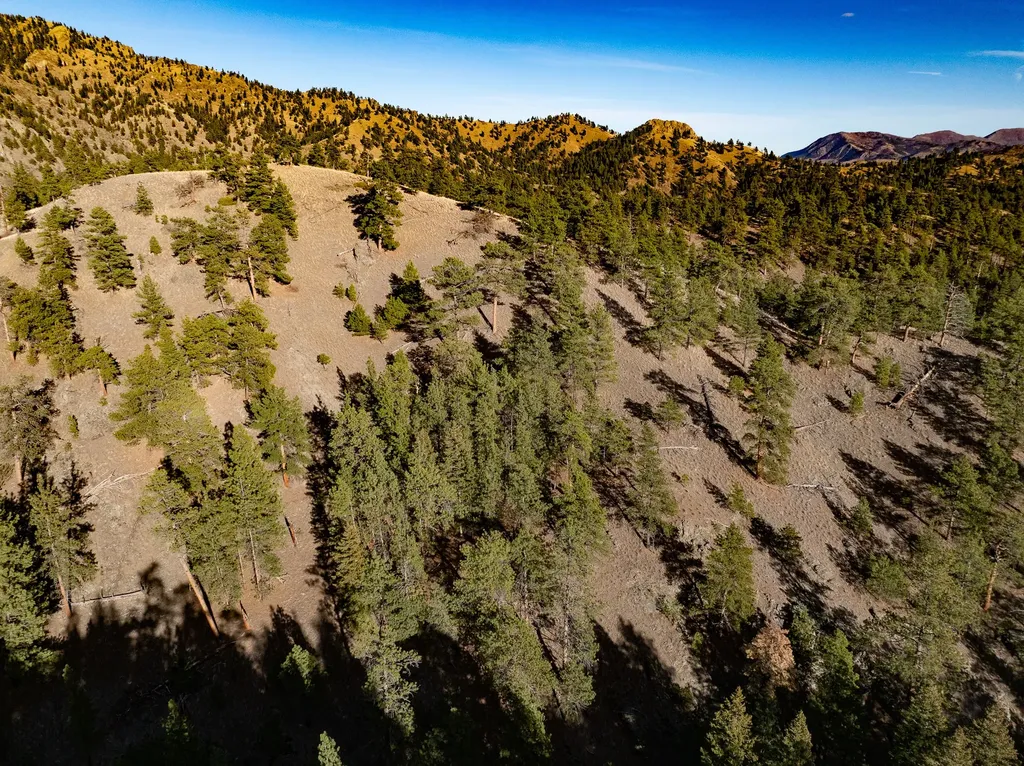 Tbd Big Pine Lane Cascade MT 59421