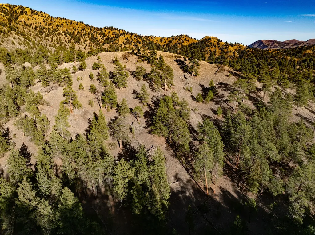 Tbd Big Pine Lane Cascade MT 59421