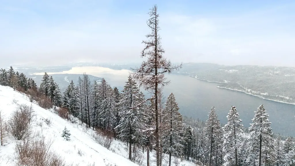 218 Elk Highlands Drive Whitefish MT 59937