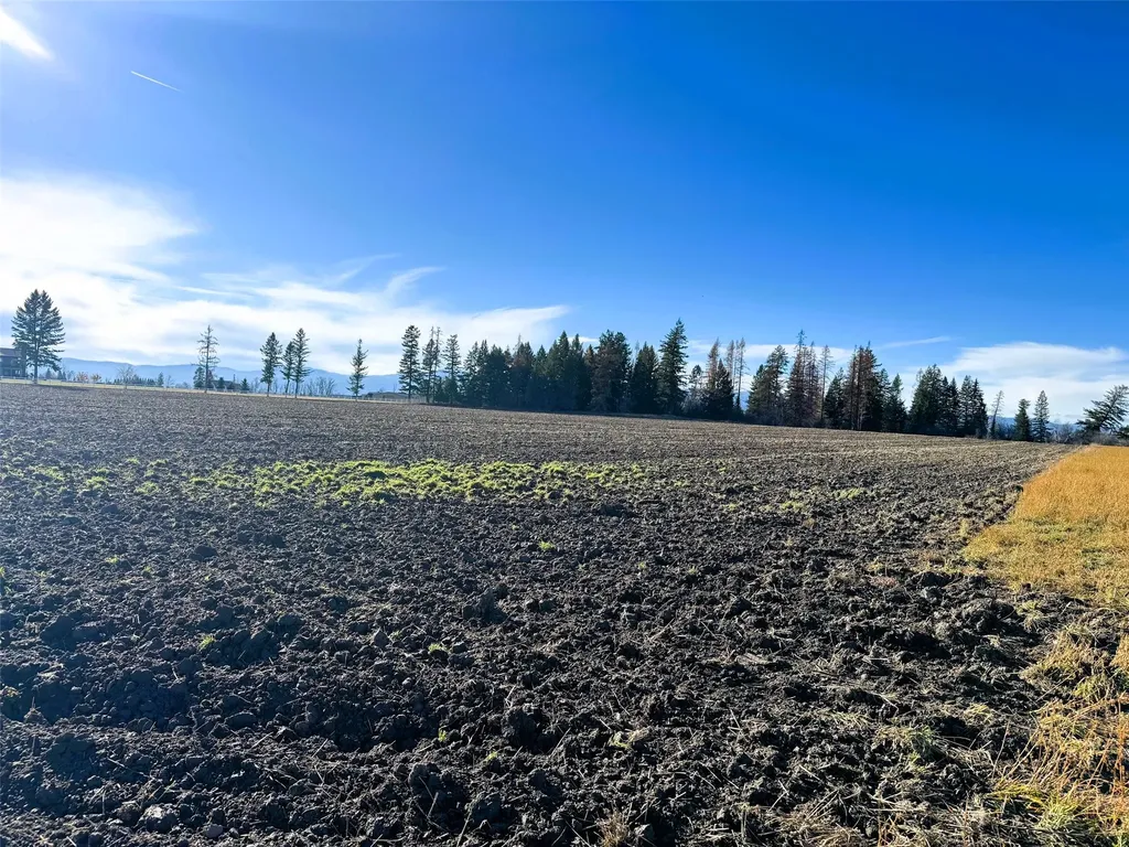 1262 Riverside Road Bigfork MT 59911