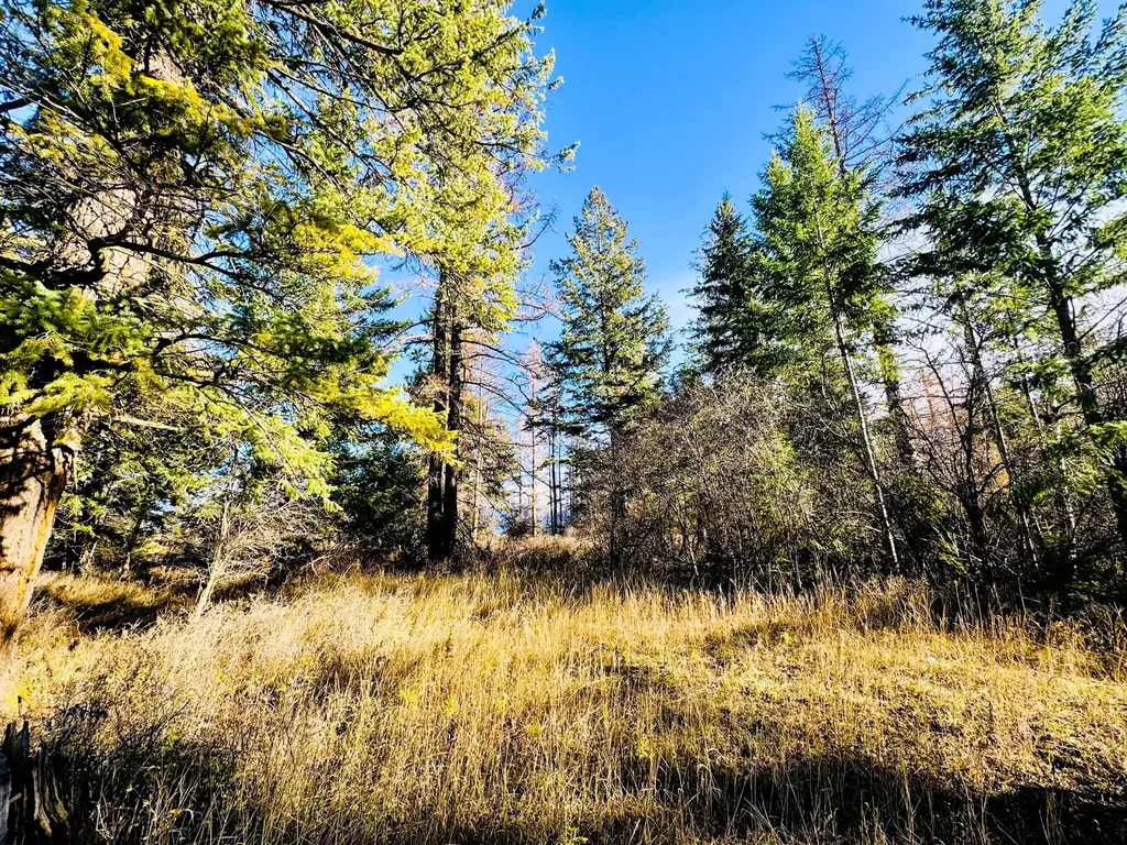 1262 Riverside Road Bigfork MT 59911