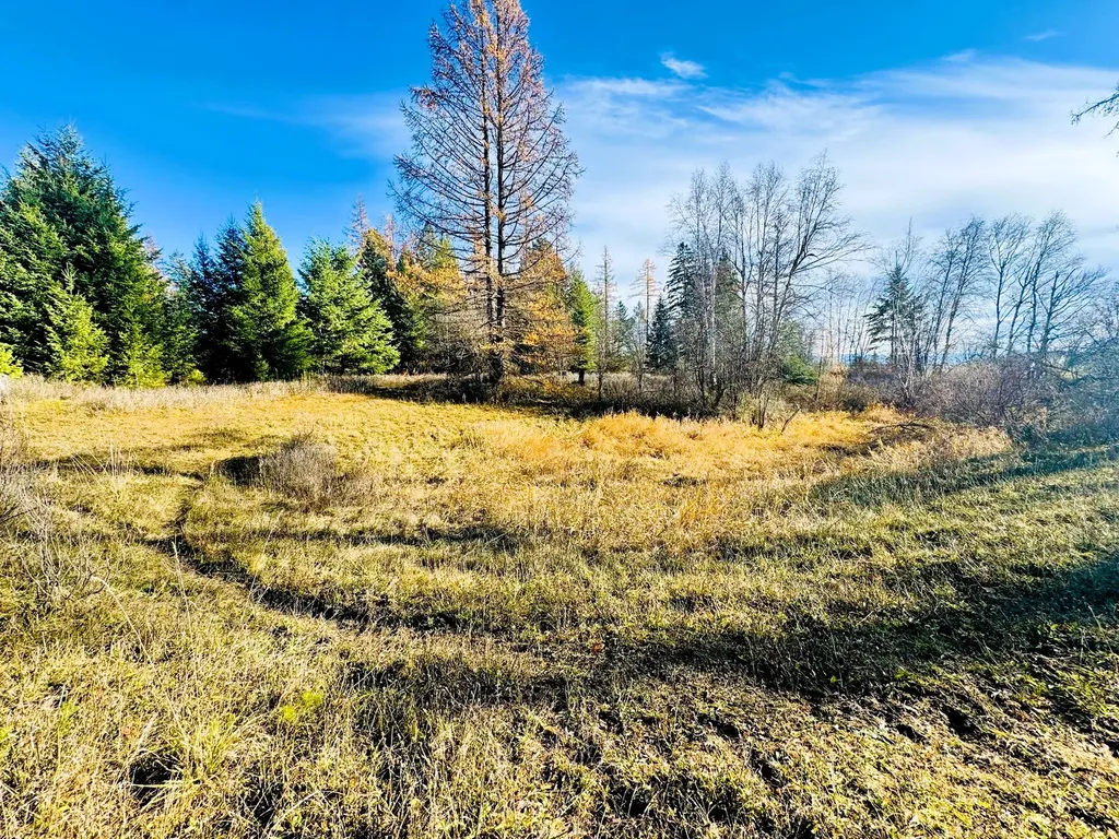 1262 Riverside Road Bigfork MT 59911